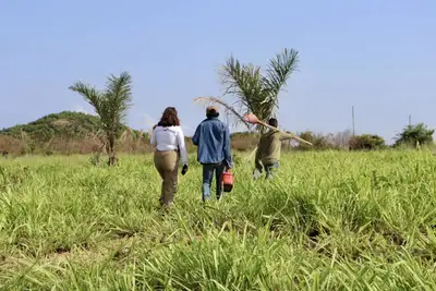 notícia: Iniciativa do Governo do Pará garante melhorias na qualidade de vida em áreas em recuperação florestal
