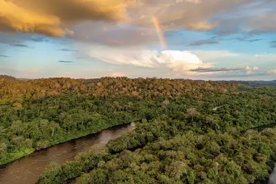 notícia: Pará consolida maior concessão para manejo florestal sustentável do Brasil