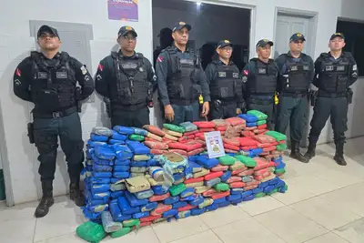 notícia: Polícia Militar apreende mais de 460 kg de maconha em São Domingos do Araguaia