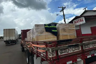 notícia: Sefa apreende 13 toneladas de correntes e manilhas em Dom Eliseu