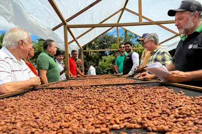 notícia: Sedap fortalece cadeia produtiva do cacau com capacitação e entrega de equipamentos