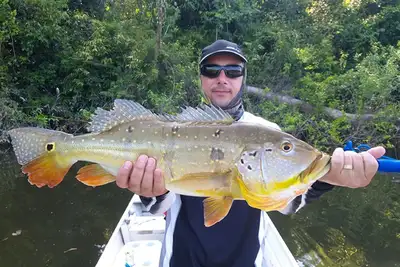 notícia: Ideflor-Bio fortalece diálogo sobre pesca esportiva sustentável em unidades de conservação do Pará
