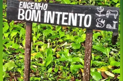 notícia: Bujaru avança na proteção ambiental e histórica com consulta pública para criação da unidade de conservação "Engenho Bom Intento"