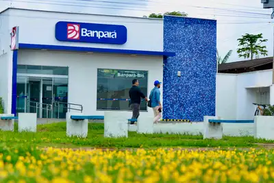 notícia: Banpará Bio garante crédito facilitado e fortalece produção sustentável no Pará