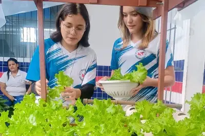 notícia: Política de Educação Ambiental amplia participação estudantil e boas práticas pedagógicas na rede pública estadual