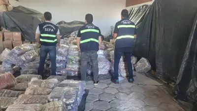 notícia: Sefa apreende 6 mil caixas de conhaque e 4 toneladas de condimentos