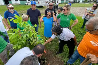 notícia: Emater planta mudas de árvores em Marituba