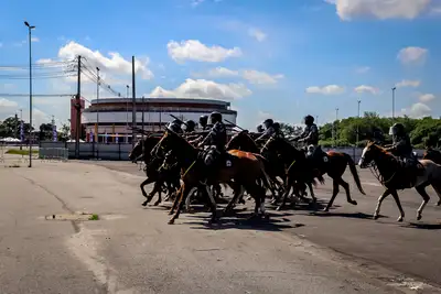 notícia: Força e imponência: cavalaria é estratégica para a eficiência das operações da Polícia Militar do Pará