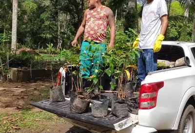 notícia: Fasepa e Semma firmam parceria e impulsionam projetos de educação ambiental na socioeducação