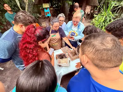 notícia: Escola de Governança Pública leva aula sobre manejo de abelhas a Marituba