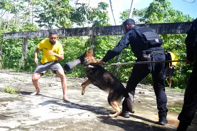 notícia: Estado fortalece a segurança penitenciária com Núcleo de Operações com Cães