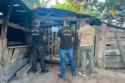 notícia: Adepará interdita abatedouro clandestino e apreende 360 quilos de carne suína em Jacundá