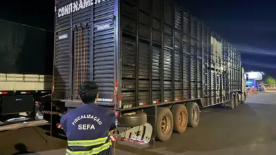 notícia: Fiscais da Sefa apreendem gado, televisores e torres de iluminação