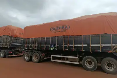 notícia: Sefa apreende 65 bovinos e 48.350 kg de amêndoas de cacau