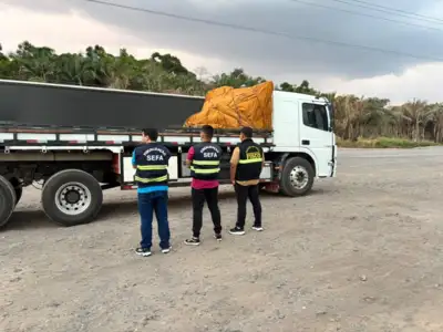 notícia: Sefa apreende painéis elétricos e 42 toneladas de arroz em casca