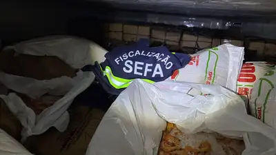 notícia: Sefa apreende oito toneladas de camarão escondidas em carga de sal no nordeste do Pará