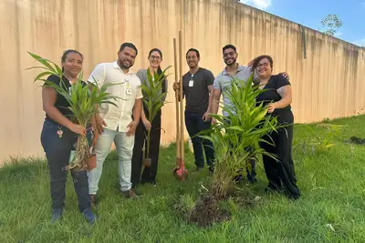 notícia: Projeto de sustentabilidade transforma área do Pronto Socorro Roberto Macedo com plantio de árvores frutíferas
