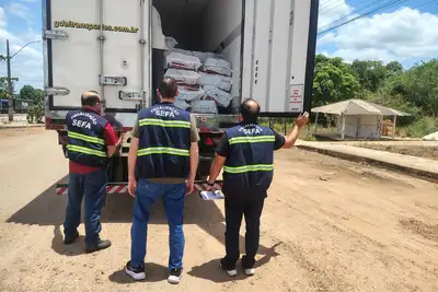 notícia: Ações da Sefa resultam na apreensão de açaí, cerveja e material elétrico no Pará