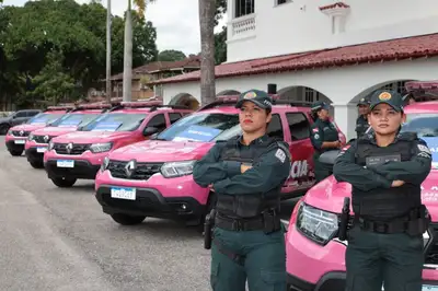 notícia: Governo do Estado entrega 10 viaturas rosas e quatro vans para reforçar atuação da Polícia Militar