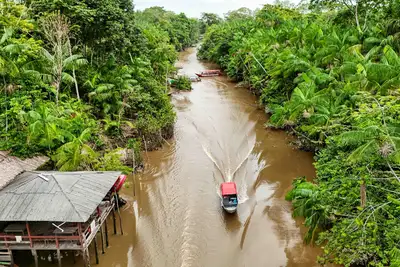 notícia: Pará oficializa rota turística e fortalece potencial da Ilha do Combu