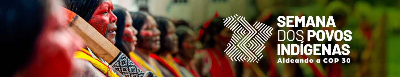banner: Agência Pará